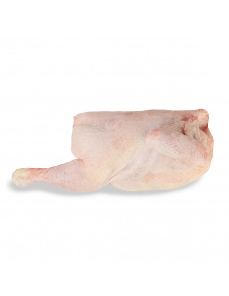 Pollo blanco