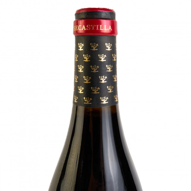 Vino La Mirada de Secastilla D.O.Somontano