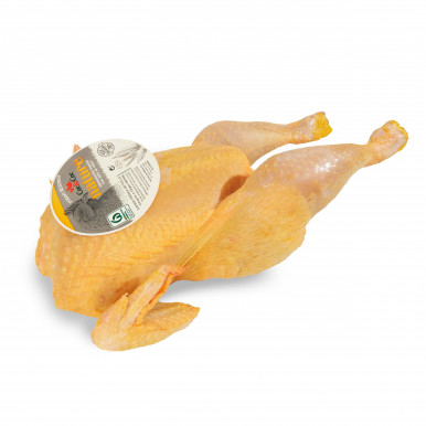 Pollo certificado